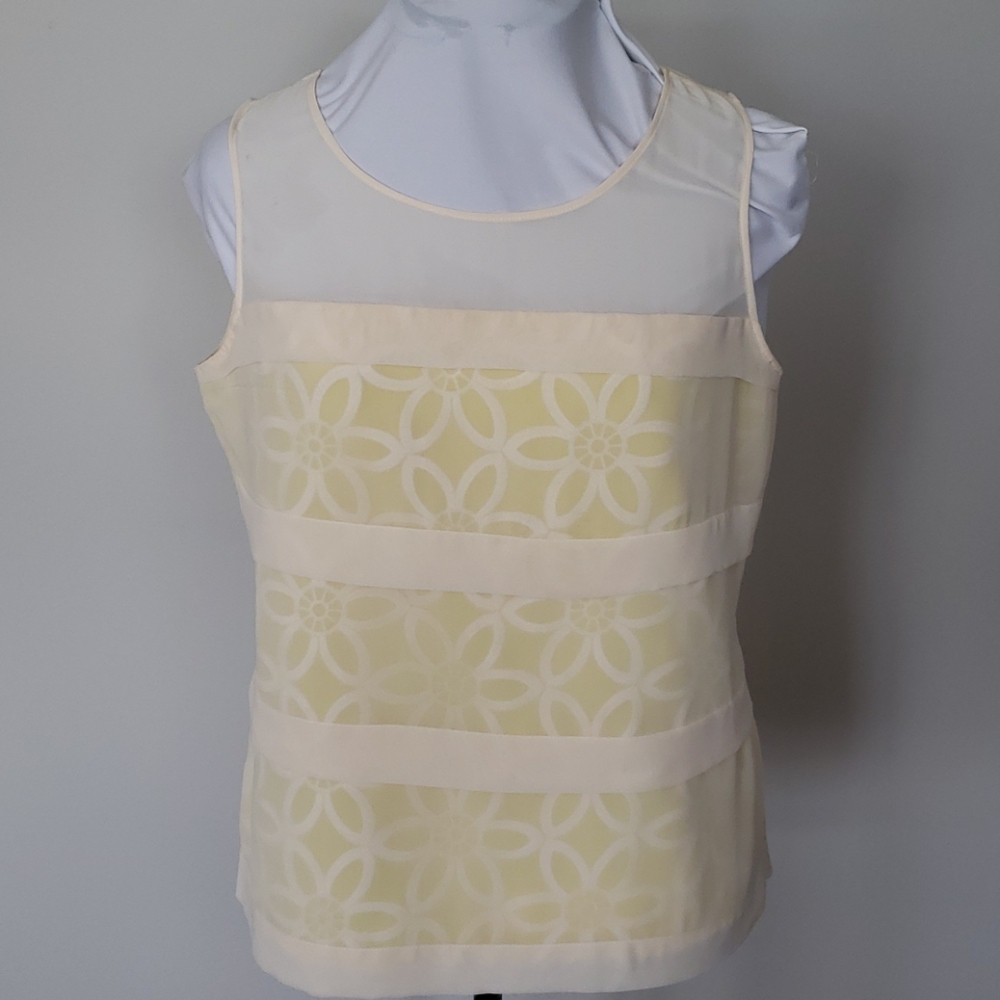 Ann Taylor blouse with sheer cream